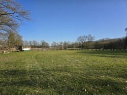Turnier und Springplatz