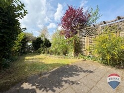 49IMG_5418-0019