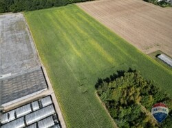 DJI_0895
