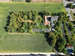DJI_0894