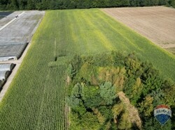 DJI_0892