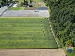 DJI_0897