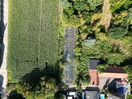 DJI_0893