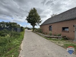 IMG_0525 2