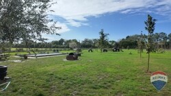 Hundewiese