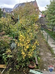 Blick vom Balkon