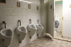 Toilette -Sc-EG