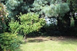 Entspannen im eigenen Garten