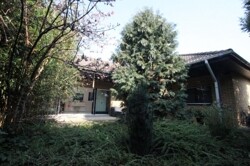 Sichtgeschützter Garten