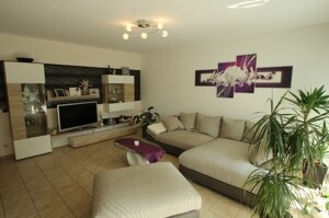 Großzügiges Wohnzimmer