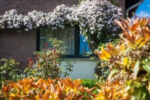 Blumenpracht zum Genießen