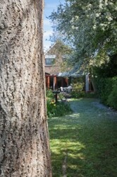 Großer Garten mit Baumbestand.