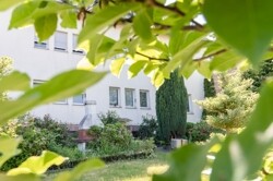 Grün angelegter Garten