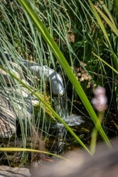 Wasserzulauf 