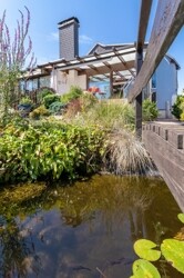 Schöner Teichbereich mit Brücke