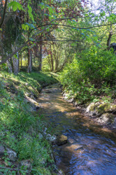 Idylle pur: Der Bachlauf