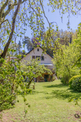 Blick aus dem Garten