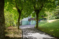 Blick durch die Allee