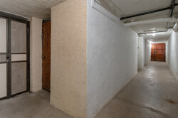 Gepflegter Keller