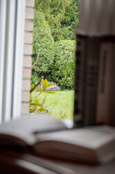 Immobilienbild