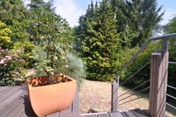 Blick zum Garten