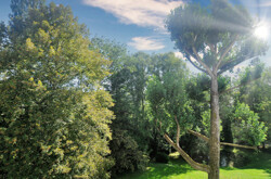 Parkähnlich mit Teich