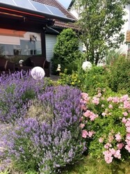 Sommergarten