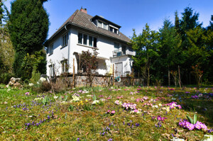 Der Frühling ist da!
