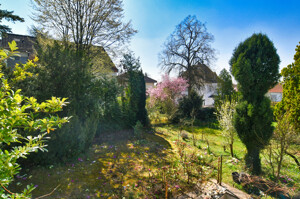 Blick in den herrlichen Garten