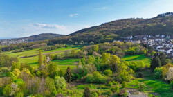 Blicklage