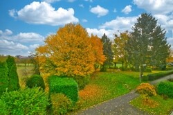 Blick in den Vorgarten