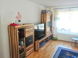 Wohnzimmer Fenster