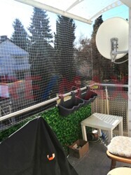 Blick von Balkon OG