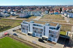 Perspektive 1