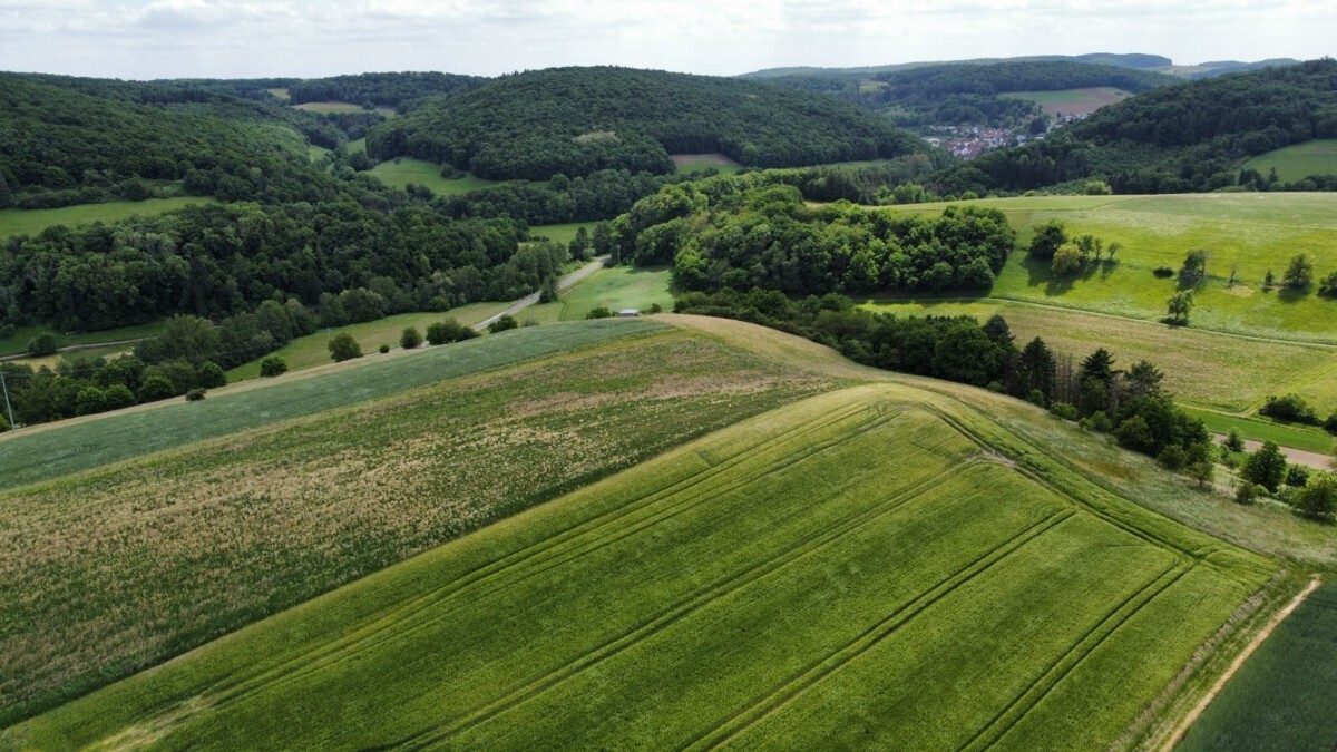 Bild der Immobilie