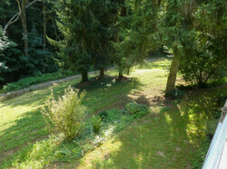 Ausblick in Ihren Garten