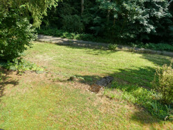 großer Garten mit Bäumen
