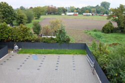 Feld