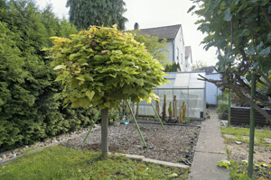Garten Blick 1