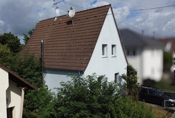 Titelbild (Nachbar unscharf)