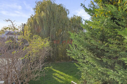 Blick OG auf Trauerweide