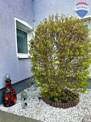 21 Vorgarten