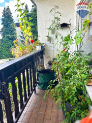 11 Balkon