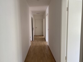 Bild der Immobilie