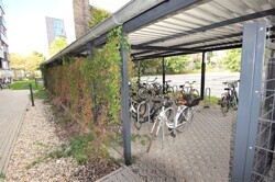 Fahrradstellplatz