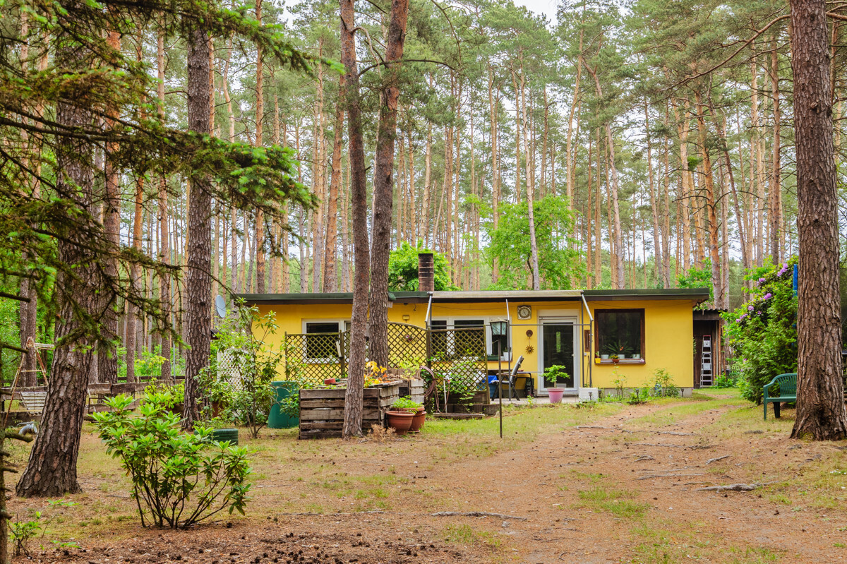 Haus 