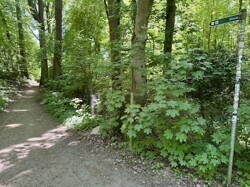 Weg zum Bötzsee