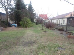 Blick in den Garten