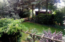 Gartenblick