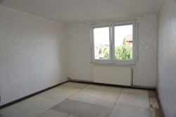 Zimmer DG